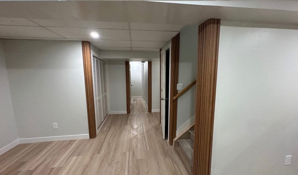 Basement Renovation
