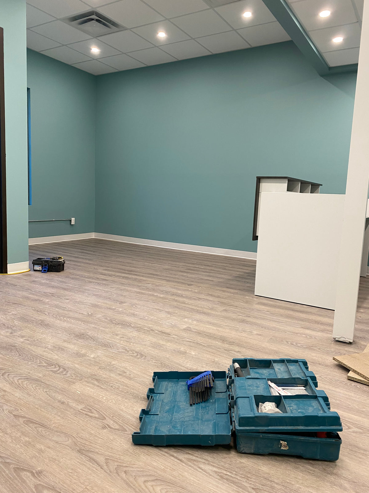 Commercial Renovation